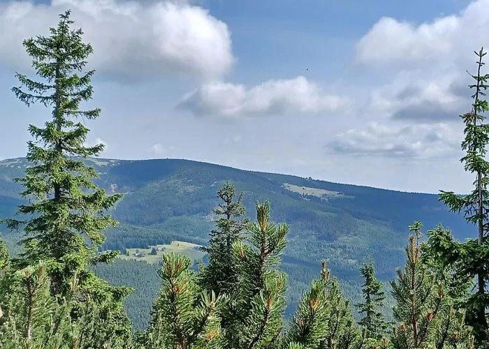 Hill 40 By Interhome Prázdninový dům